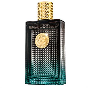 gucci guilty absolute pour femme notes