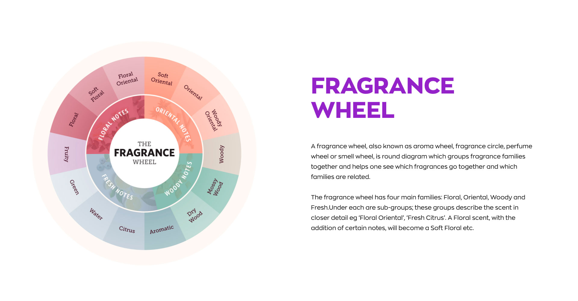 Fragrance Wheel
