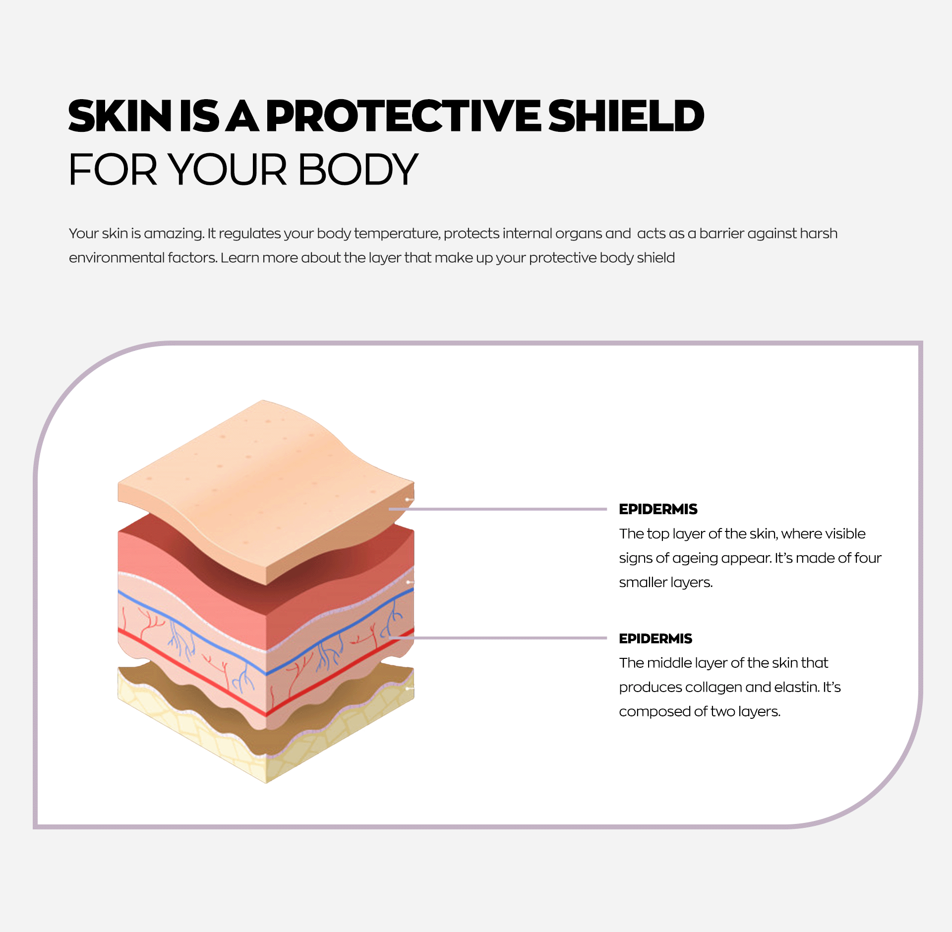 Understand your skin