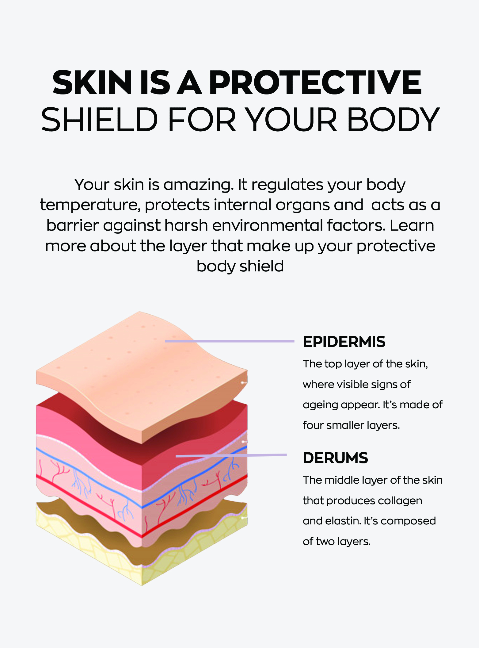 Understand your skin type
