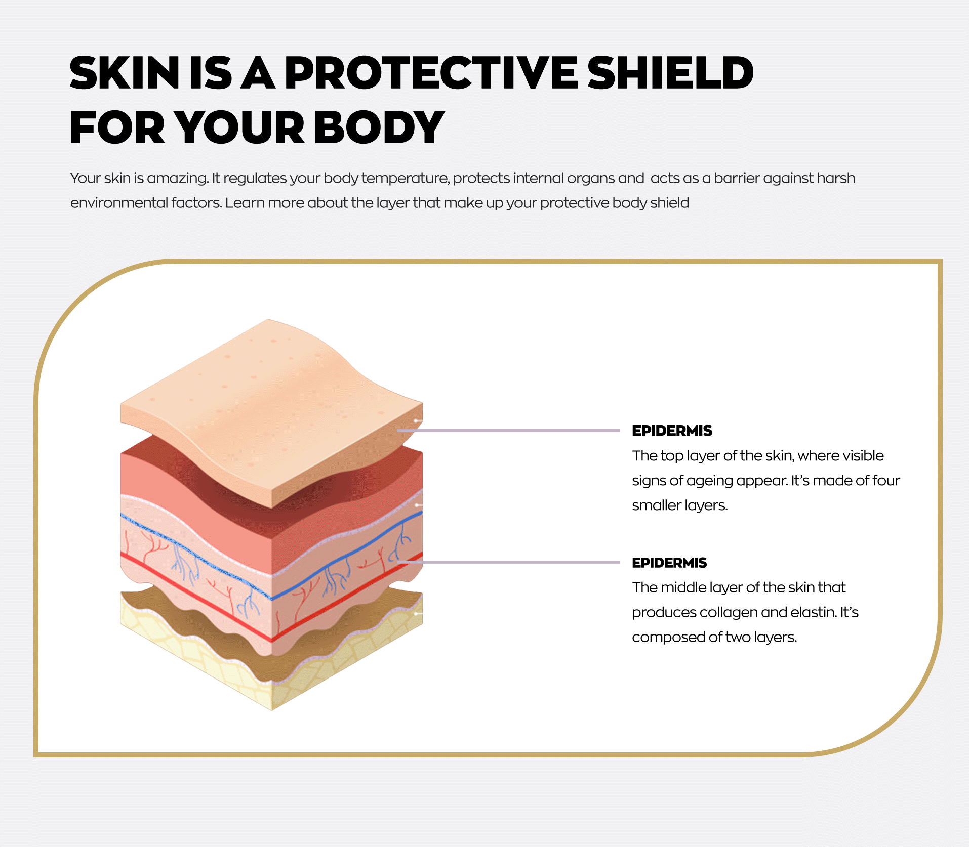 Skin