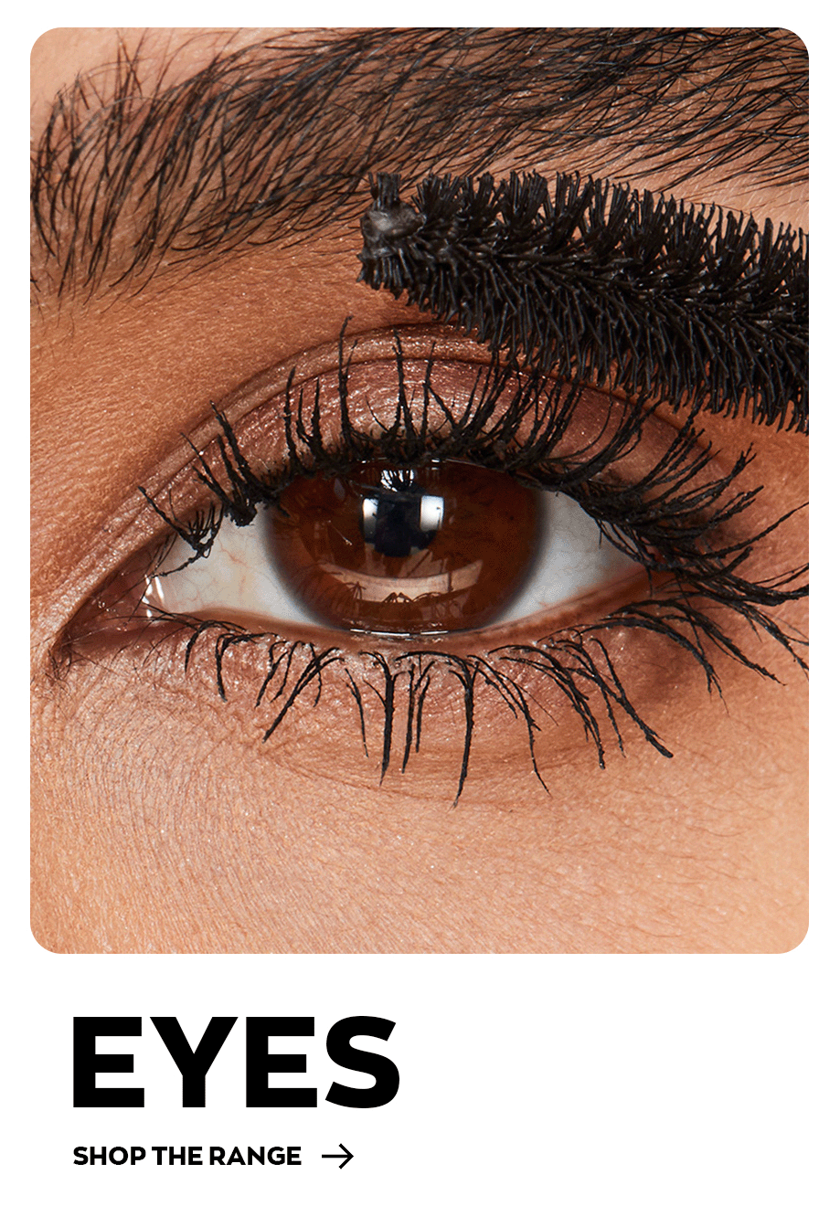 Eyes