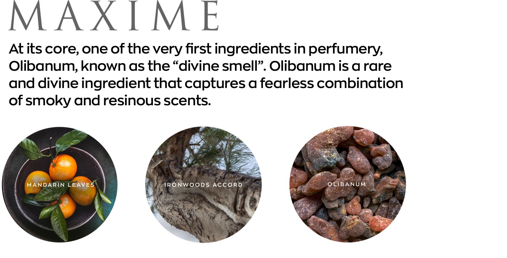 maxime olfactives 
