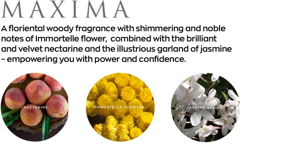 maxima olfactives 