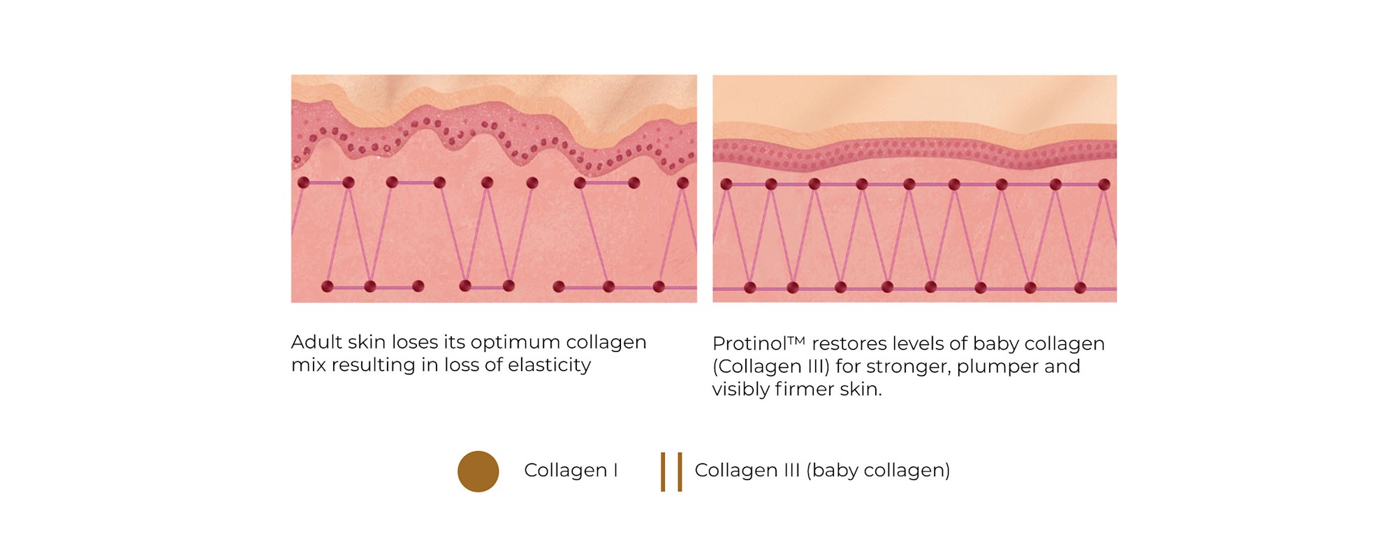 Anew Skin Reset Plumping shots with Protinol